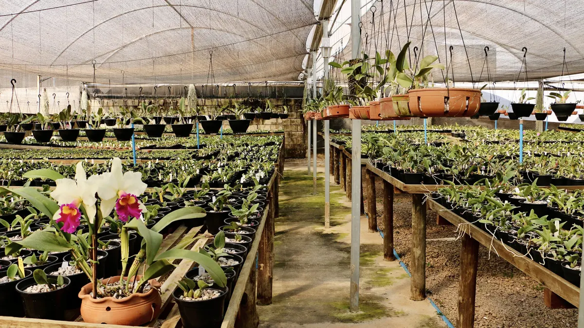 Orquidário Covolan